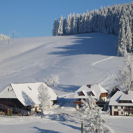 Апартаменти Oberengenbachhof Айзенбах Екстер'єр фото