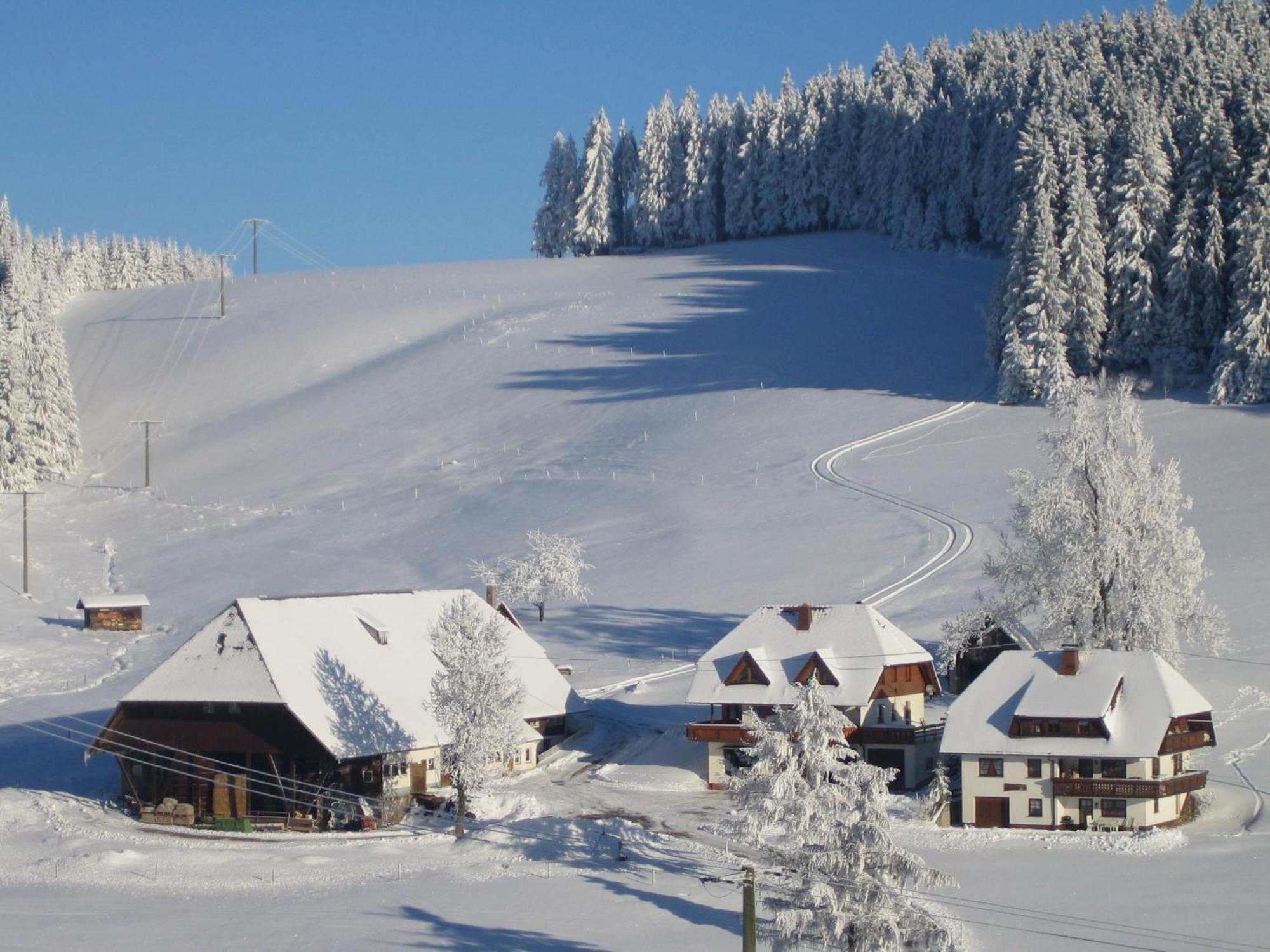 Апартаменти Oberengenbachhof Айзенбах Екстер'єр фото