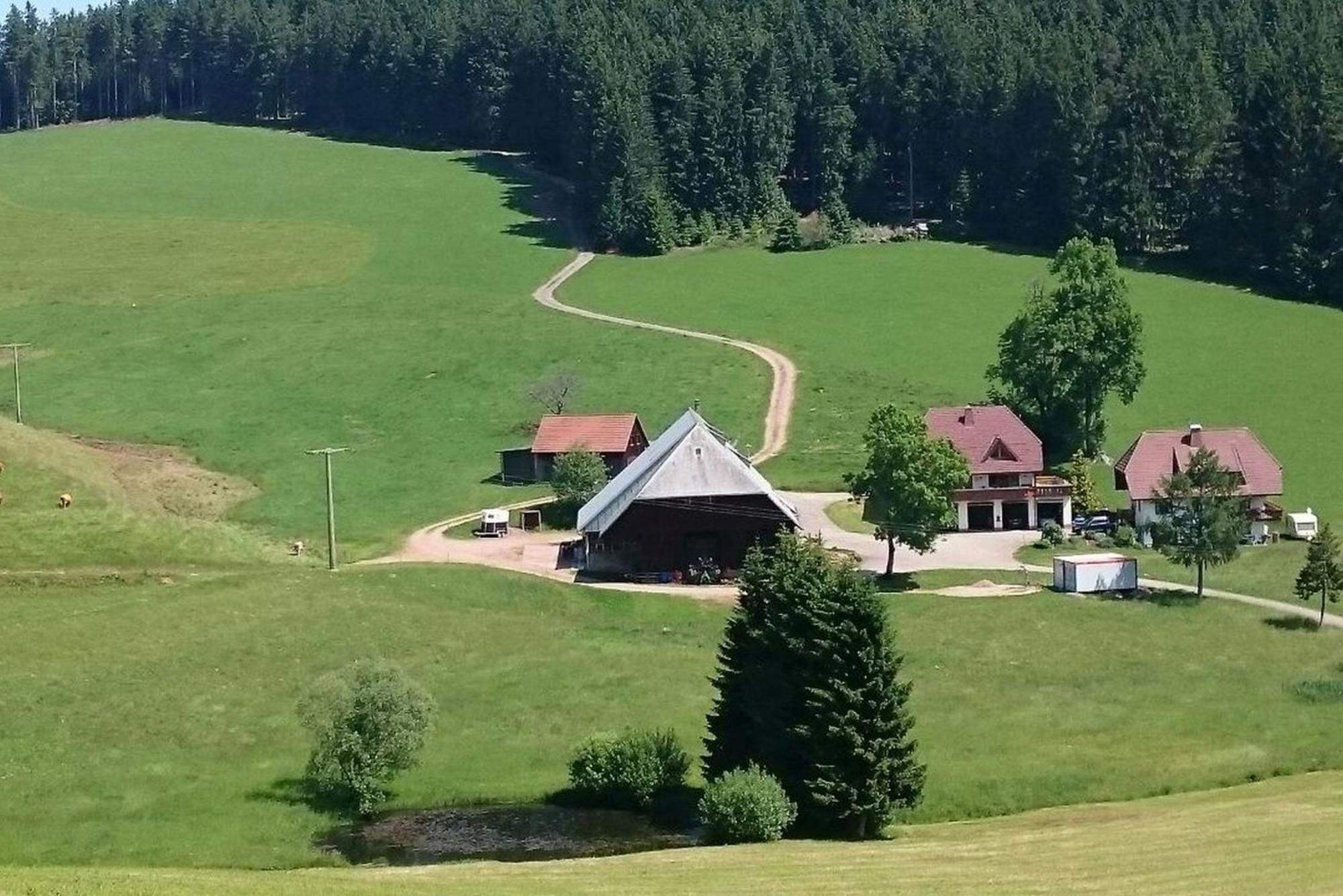 Апартаменти Oberengenbachhof Айзенбах Екстер'єр фото